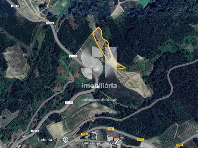 Terreno Urbano T0 - S�o Martinho de Antas e Paradela de Gui�es, Sabrosa, Vila Real - Miniatura: 33/33