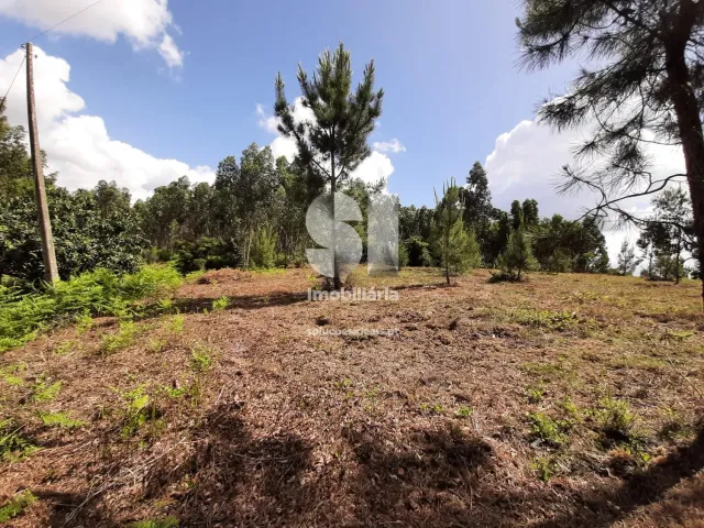 Terreno Urbano T0 - Pampilhosa, Mealhada, Aveiro - Miniatura: 4/4