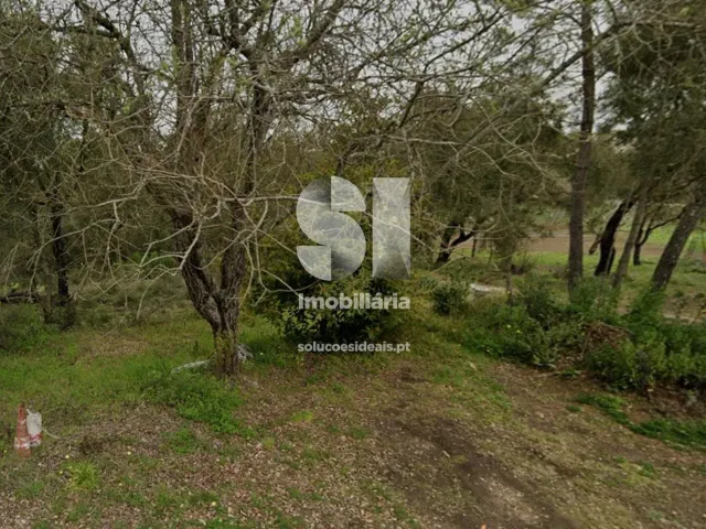 Terreno Urbano T0 - S�o Miguel de Poiares, Vila Nova de Poiares, Coimbra - Miniatura: 3/3