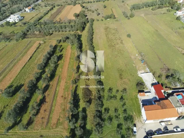 Terreno Urbano T0 - Foz de Arouce, Lous�, Coimbra - Miniatura: 5/7