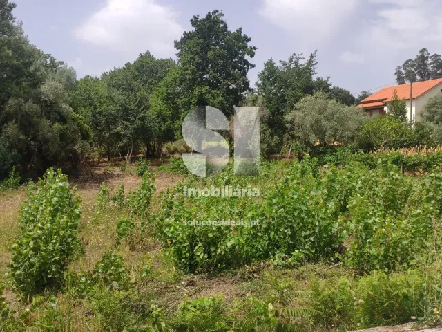 Terreno Urbano T0 - Penacova, Penacova, Coimbra - Miniatura: 3/6