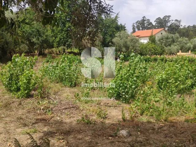 Terreno Urbano T0 - Penacova, Penacova, Coimbra - Miniatura: 4/6