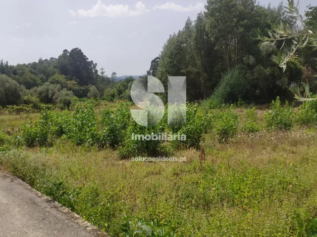 Terreno Urbano T0 - Penacova, Penacova, Coimbra - Miniatura: 6/6