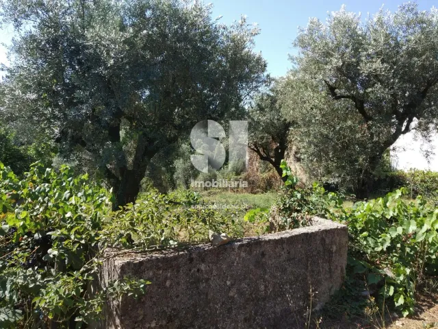 Terreno Urbano T0 - Arrifana, Vila Nova de Poiares, Coimbra - Miniatura: 1/4