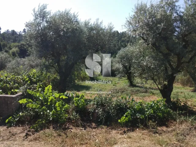Terreno Urbano T0 - Arrifana, Vila Nova de Poiares, Coimbra - Miniatura: 2/4