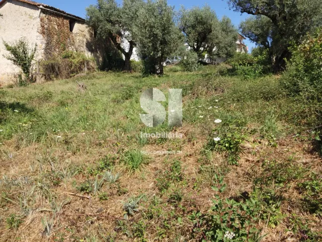Terreno Urbano T0 - Arrifana, Vila Nova de Poiares, Coimbra - Miniatura: 3/4