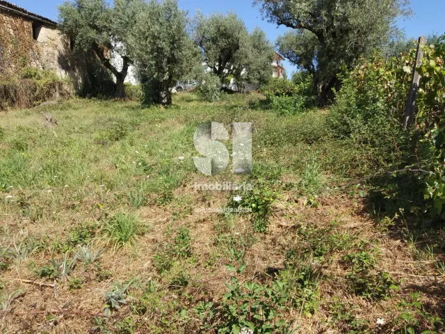 Terreno Urbano T0 - Arrifana, Vila Nova de Poiares, Coimbra - Miniatura: 4/4