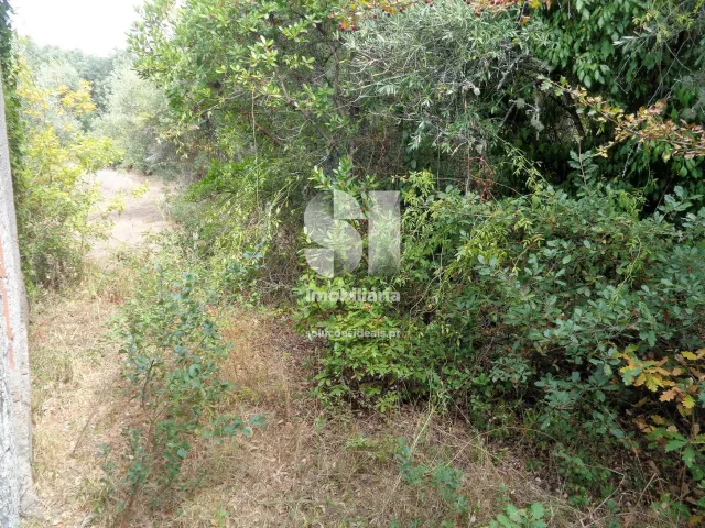 Terreno Urbano T0 - Lous�, Lous�, Coimbra - Miniatura: 6/11