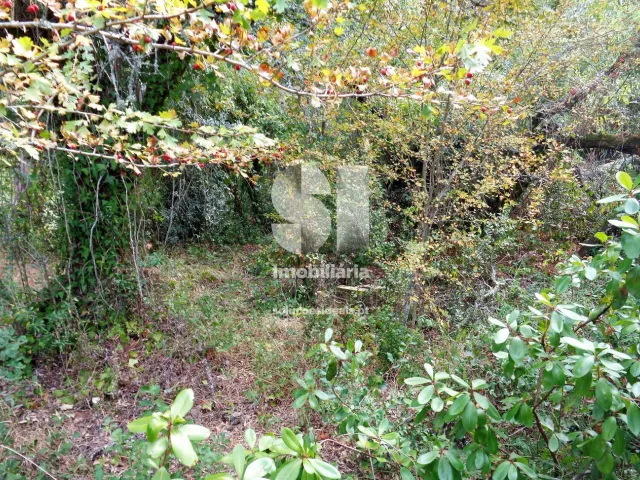 Terreno Urbano T0 - Lous�, Lous�, Coimbra - Miniatura: 7/11