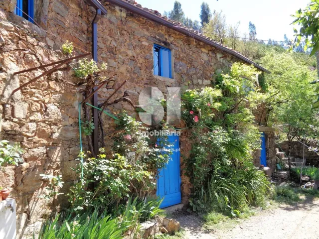 Quinta - Figueir� dos Vinhos, Figueir� dos Vinhos, Leiria - Miniatura: 1/15