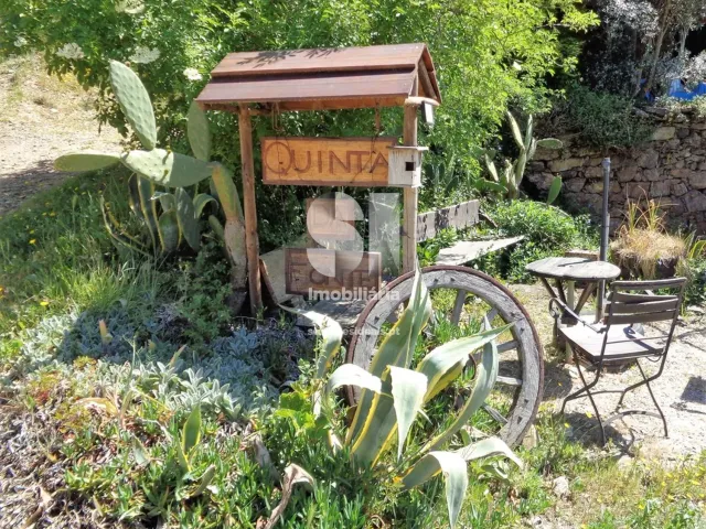 Quinta - Figueir� dos Vinhos, Figueir� dos Vinhos, Leiria - Miniatura: 2/15