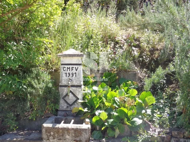 Quinta - Figueir� dos Vinhos, Figueir� dos Vinhos, Leiria - Miniatura: 3/15