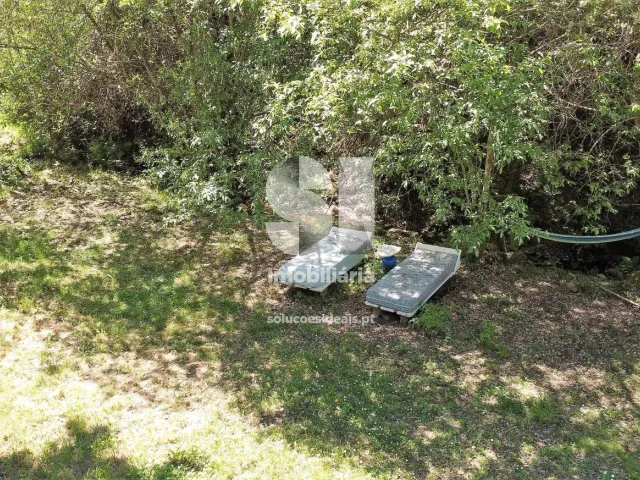 Quinta - Figueir� dos Vinhos, Figueir� dos Vinhos, Leiria - Miniatura: 6/15