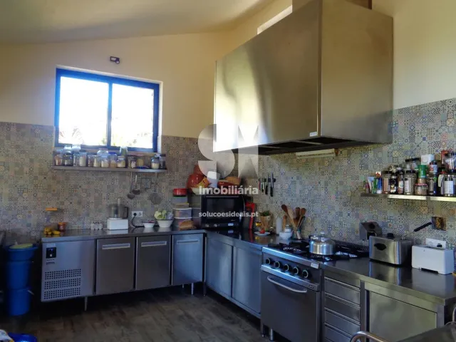 Quinta - Figueir� dos Vinhos, Figueir� dos Vinhos, Leiria - Miniatura: 10/15