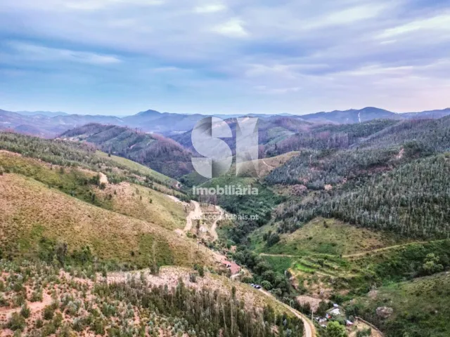 Quinta - Figueir� dos Vinhos, Figueir� dos Vinhos, Leiria - Miniatura: 15/15