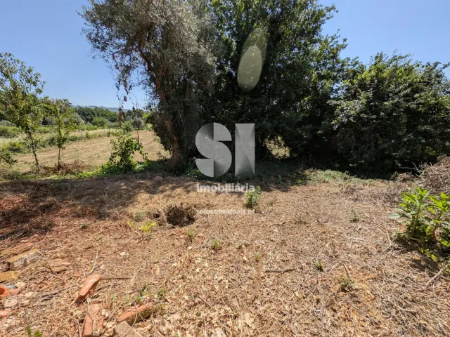 Moradia T3 - Sarzedo, Arganil, Coimbra - Miniatura: 19/19