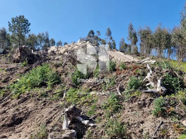 Terreno Urbano T0 - Rebordosa, Paredes, Porto - Miniatura: 7/40