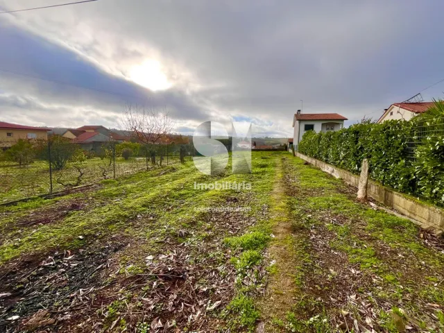 Terreno Urbano T0 - Pa�os, Sabrosa, Vila Real - Miniatura: 9/33