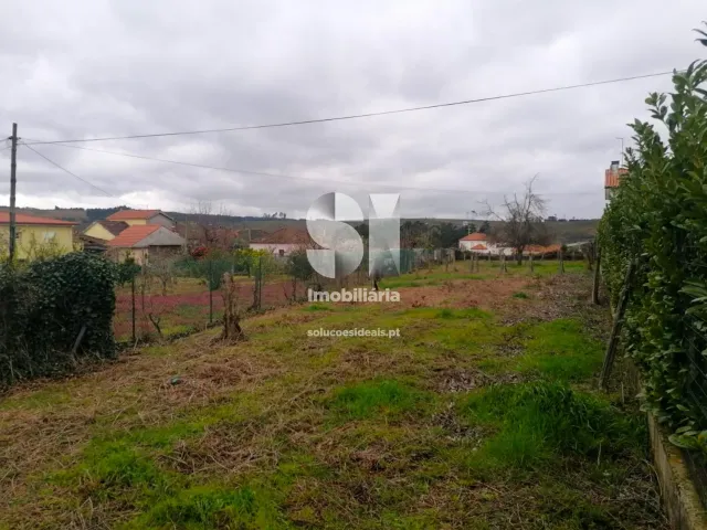 Terreno Urbano T0 - Pa�os, Sabrosa, Vila Real - Miniatura: 19/33