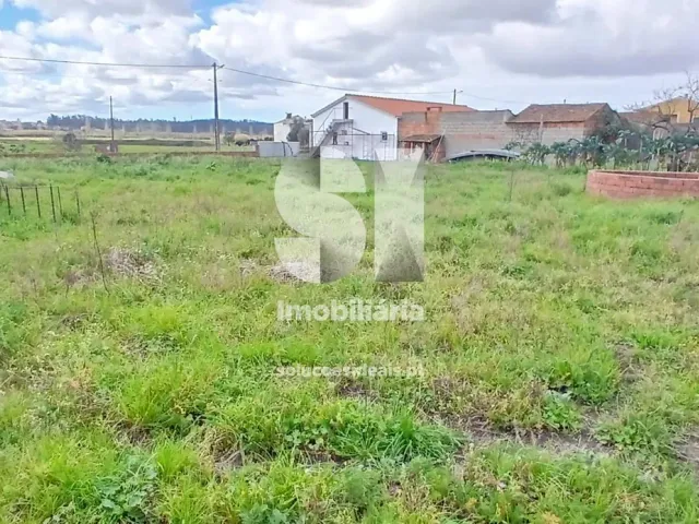Terreno R�stico T0 - Monte Redondo, Leiria, Leiria - Miniatura: 2/4
