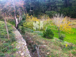 Terreno Urbano T0 - S�o Martinho de Antas e Paradela de Gui�es, Sabrosa, Vila Real - Miniatura: 12/33