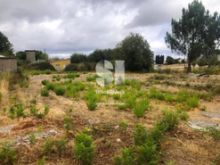 Terreno Urbano T0 - S�o Tom� do Castelo e Justes, Vila Real, Vila Real - Miniatura: 12/19