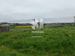 Terreno R�stico T0 - Monte Real, Leiria, Leiria - Miniatura: 3/10