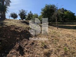 Terreno R�stico T0 - Coja, Arganil, Coimbra - Miniatura: 2/10