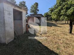 Terreno R�stico T0 - Coja, Arganil, Coimbra - Miniatura: 3/10