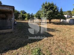 Terreno R�stico T0 - Coja, Arganil, Coimbra - Miniatura: 5/10