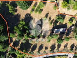 Terreno R�stico T0 - Coja, Arganil, Coimbra - Miniatura: 6/10