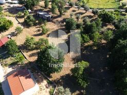 Terreno R�stico T0 - Coja, Arganil, Coimbra - Miniatura: 8/10