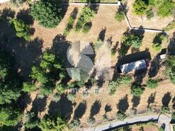 Terreno R�stico T0 - Coja, Arganil, Coimbra - Miniatura: 9/10