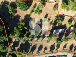 Terreno R�stico T0 - Coja, Arganil, Coimbra - Miniatura: 10/10
