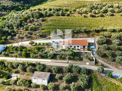 Moradia T3 - Covas do Douro, Sabrosa, Vila Real - Miniatura: 33/33