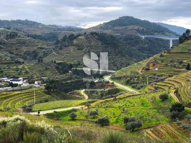 Terreno Rústico - Abaças, Vila Real, Vila Real - Imagem grande
