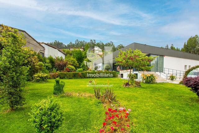 Quinta T3 - Reguenga, Santo Tirso, Porto - Imagem grande