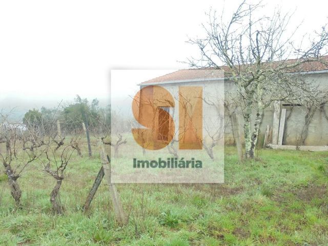 Terreno R�stico T0 - Arrifana, Vila Nova de Poiares, Coimbra - Imagem grande