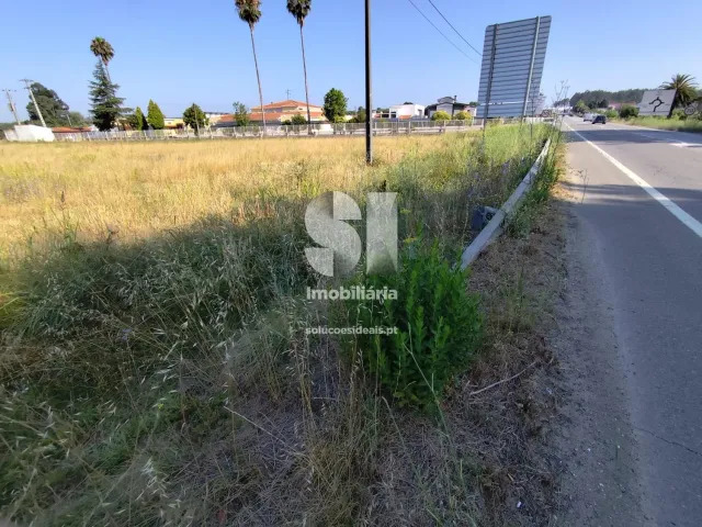 Terreno Urbano T0 - Tamengos, Anadia, Aveiro - Imagem grande
