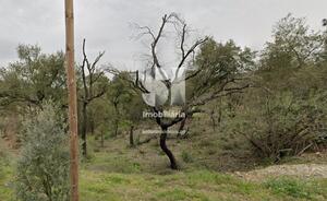 Terreno Rstico - Vila Nova de Poiares, Vila Nova de Poiares, Coimbra