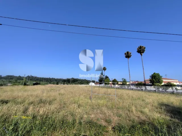 Terreno Urbano T0 - Tamengos, Anadia, Aveiro