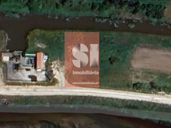 Terreno Rústico T0 - Vieira de Leiria, Marinha Grande, Leiria