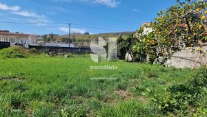 Terreno Rstico - Pinheiro, Penafiel, Porto - Miniatura: 9/39