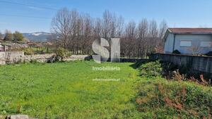 Terreno Rstico - Pinheiro, Penafiel, Porto - Miniatura: 11/39