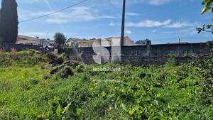 Terreno Rstico - Pinheiro, Penafiel, Porto - Miniatura: 19/39