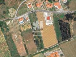 Terreno Rstico - Carvoeira TVD, Torres Vedras, Lisboa - Miniatura: 13/25