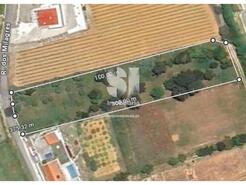 Terreno Rstico - Carvoeira TVD, Torres Vedras, Lisboa - Miniatura: 24/25