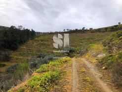 Terreno Rstico - Abaas, Vila Real, Vila Real - Miniatura: 7/20