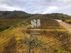 Terreno Rstico - Abaas, Vila Real, Vila Real - Miniatura: 18/20