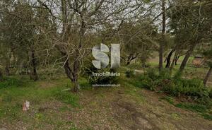 Terreno Rústico - Vila Nova de Poiares, Vila Nova de Poiares, Coimbra - Miniatura: 3/3